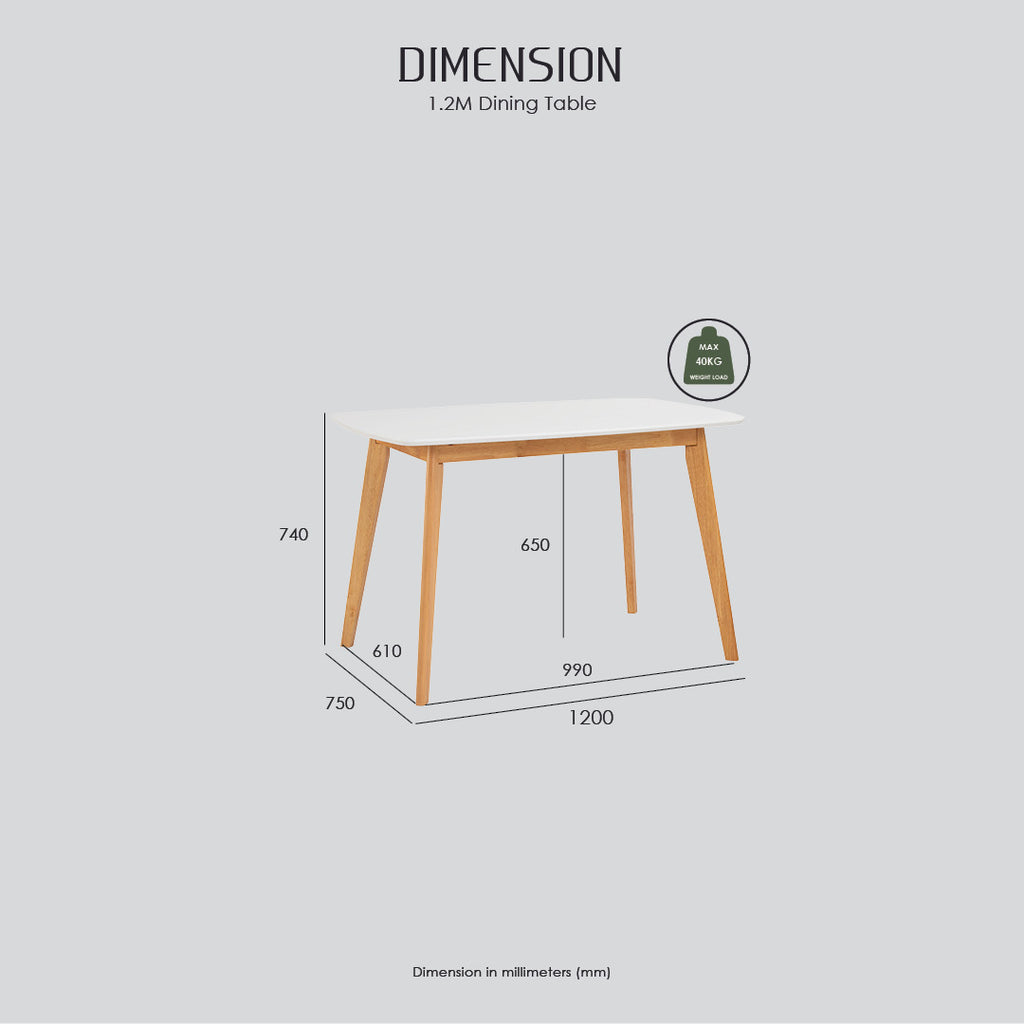 AIMON 750X1200 DINING TABLE In White lacquered Colour