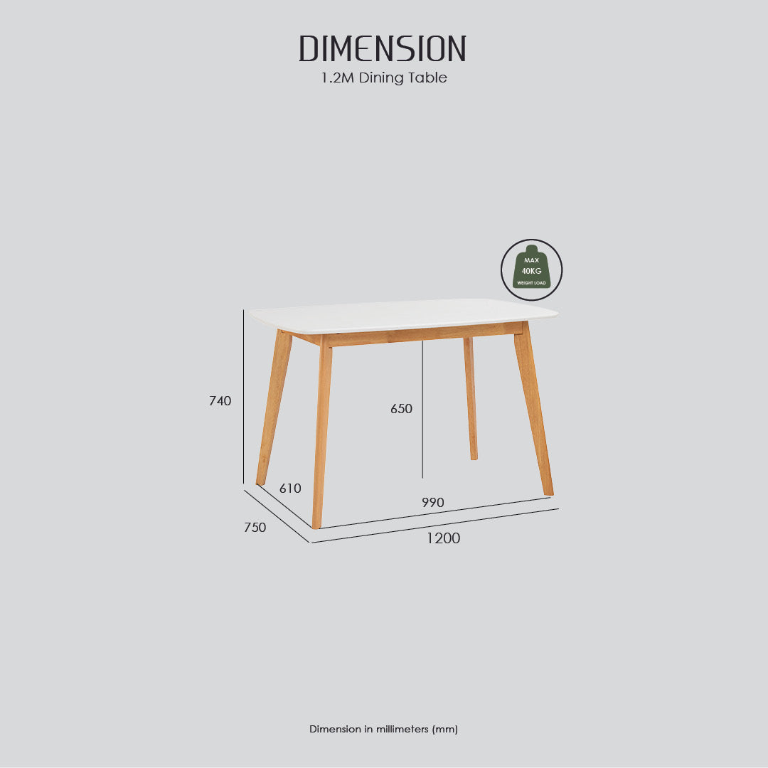 AIMON 750X1200 DINING TABLE In White lacquered Colour