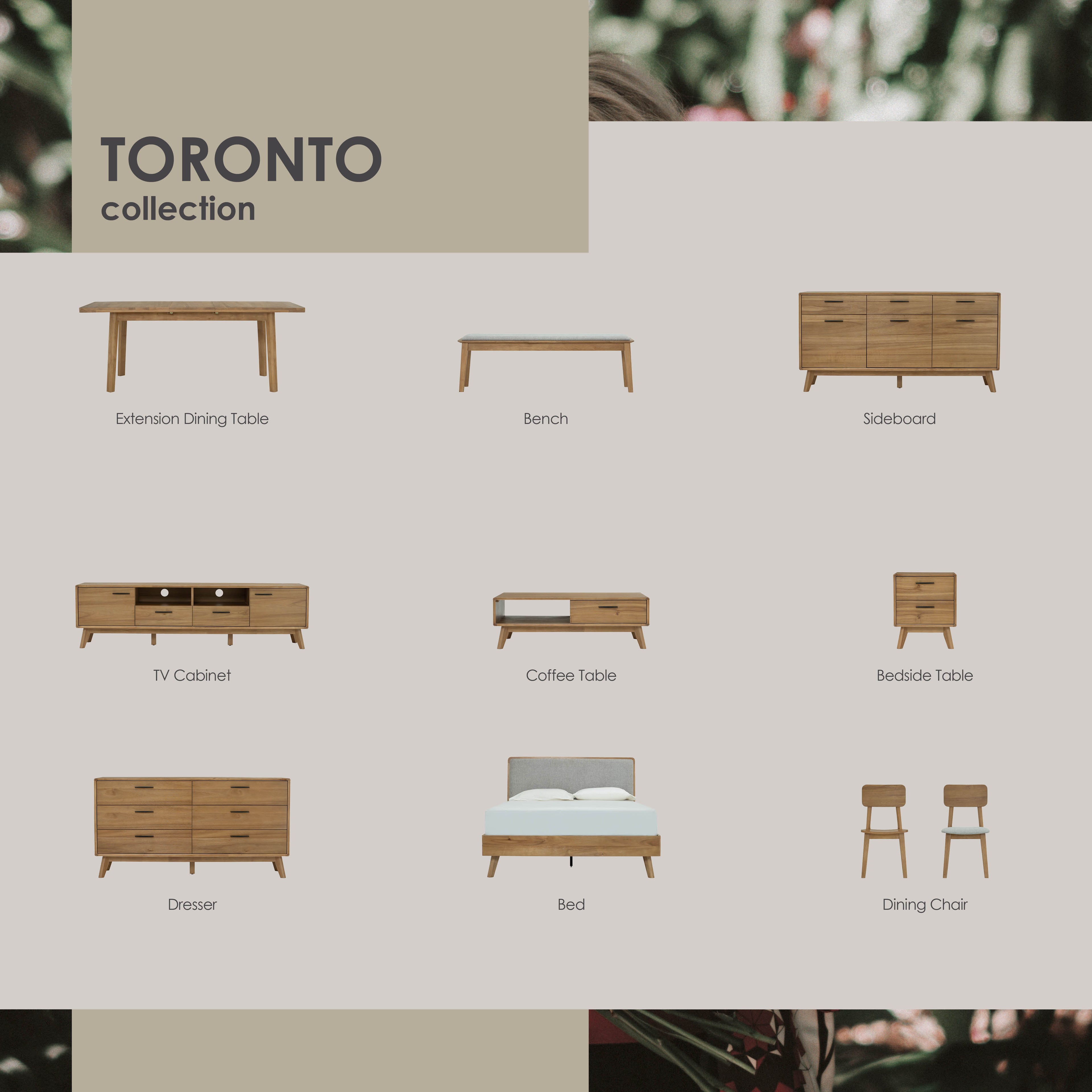 (2set)Toronto Dining Chair with Light Tennessee Walnut colour.