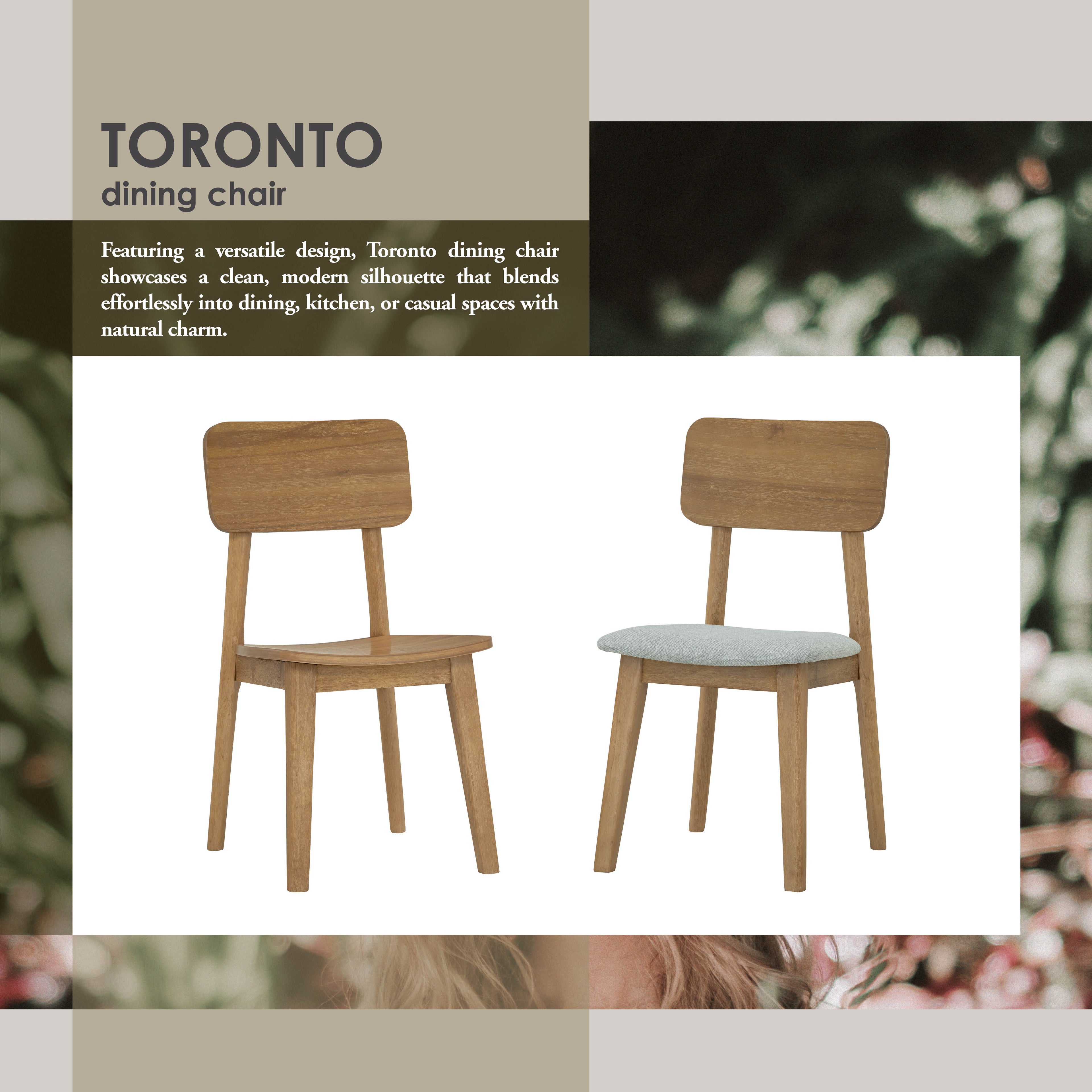 (2set)Toronto Dining Chair with Light Tennessee Walnut colour.