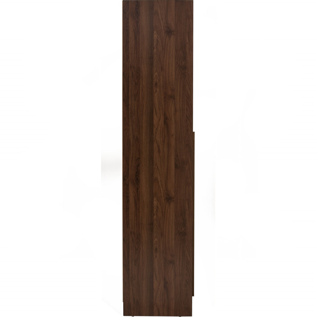 Mando 2 door wardrobe in Walnut colour body and handle, Black colour door.